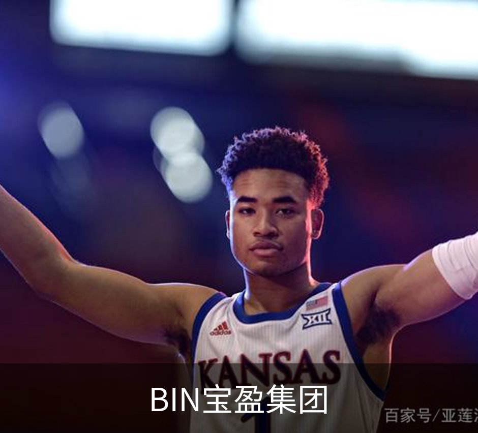 BIN宝盈集团简介